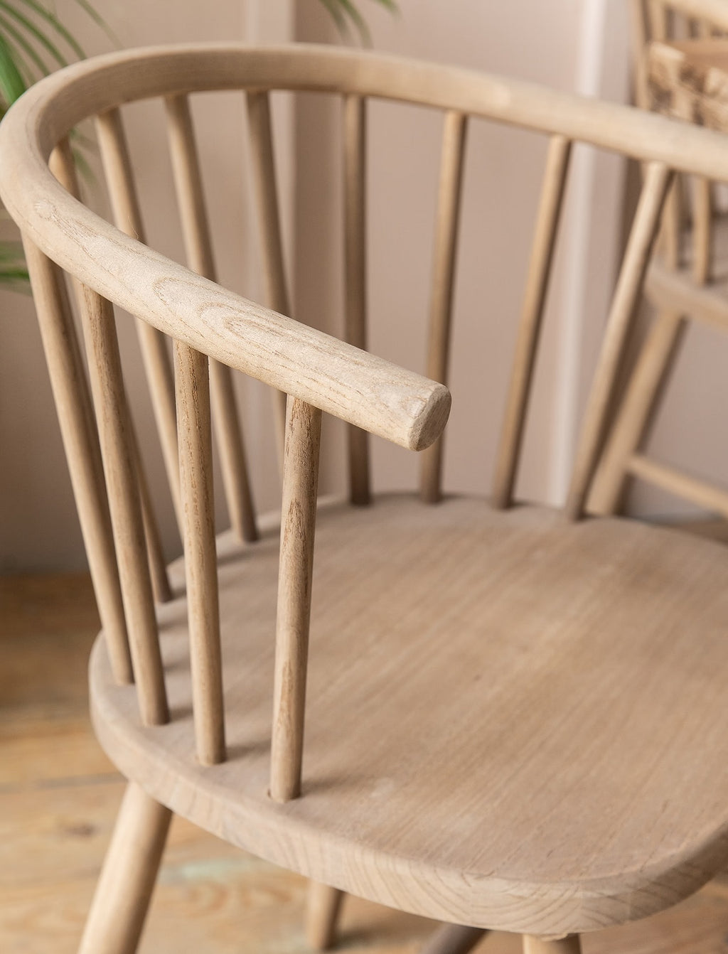 Carbis Bay - Curve - Elm Dining Chair