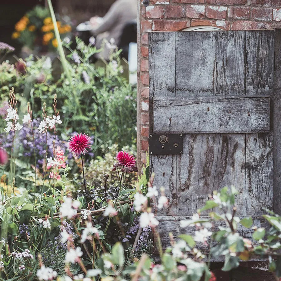 English Garden by True Grace - Car Fresh