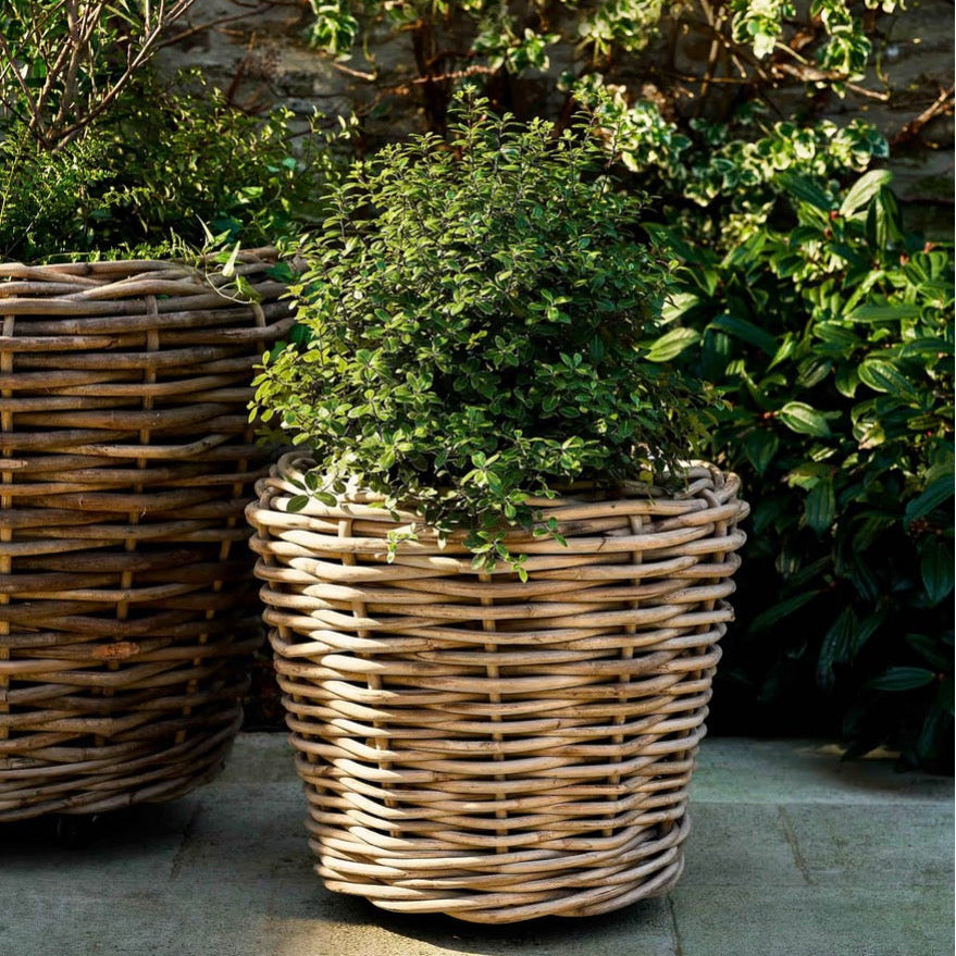 Helston - Planter On Wheels - Large