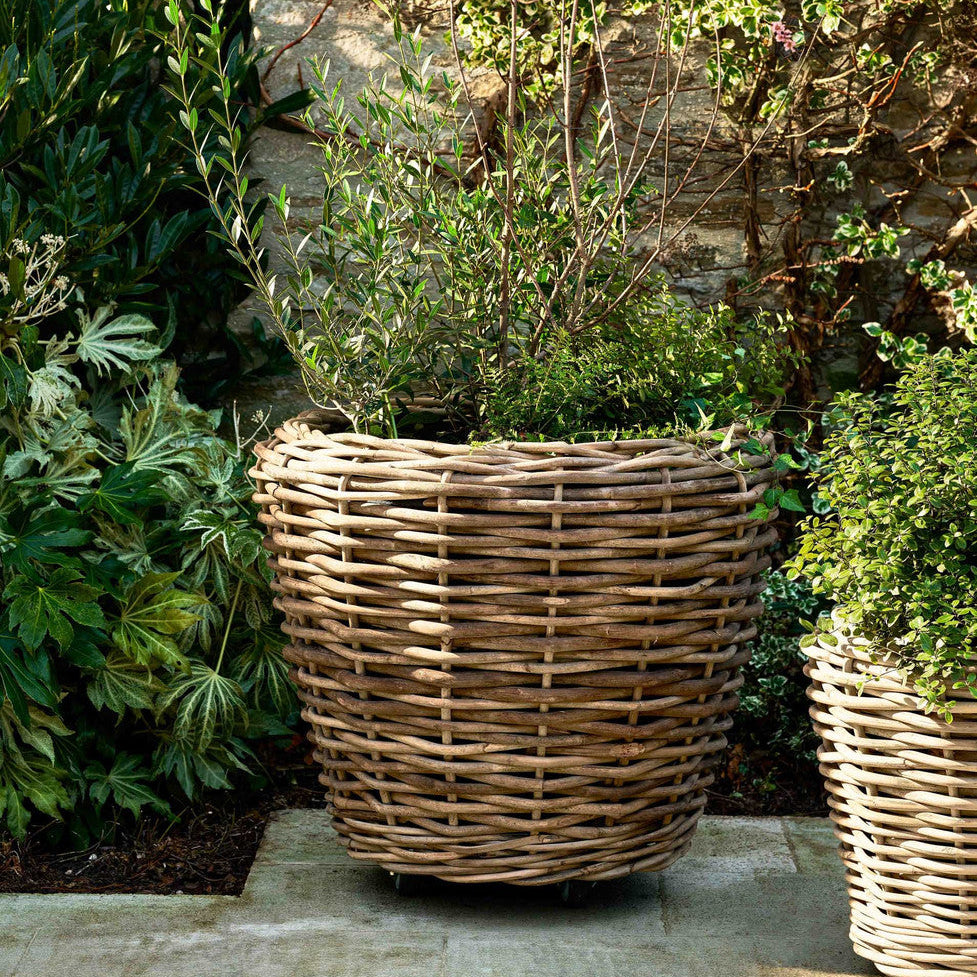 Helston - Planter On Wheels - Giant