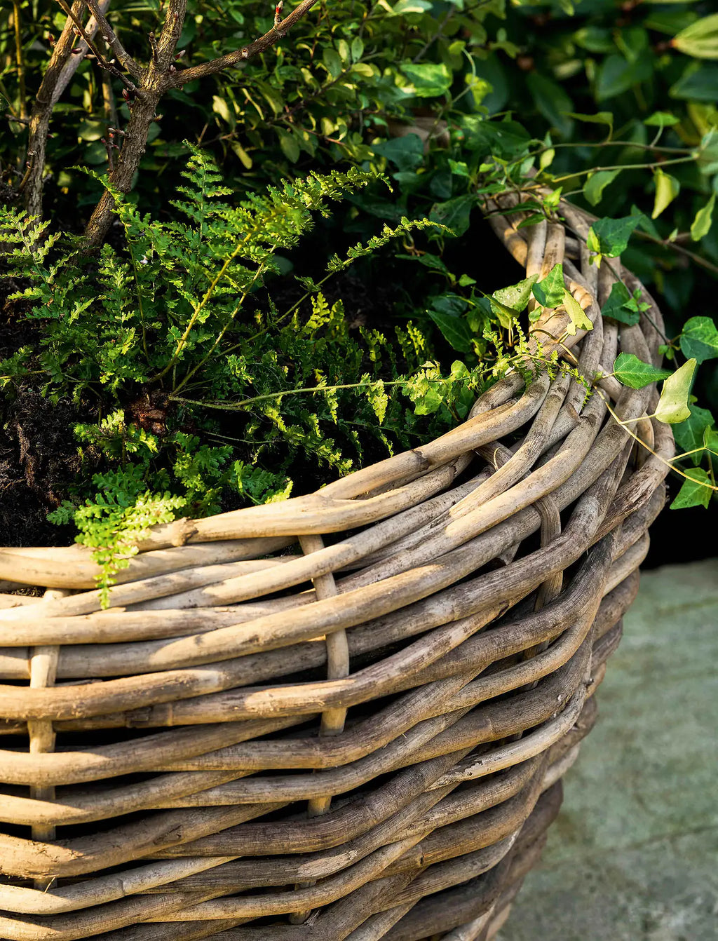 Helston - Planter On Wheels - Large