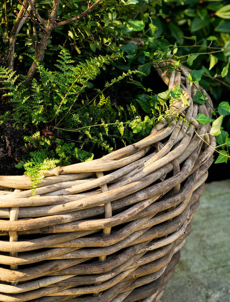 HELSTON | PLANTER ON WHEELS | GIANT