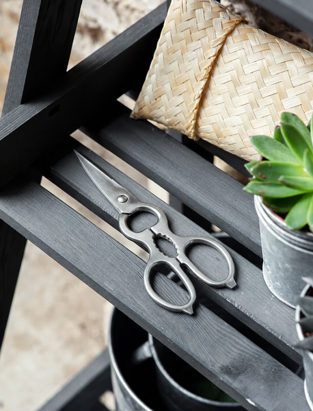 CLASSIC | KITCHEN SCISSORS