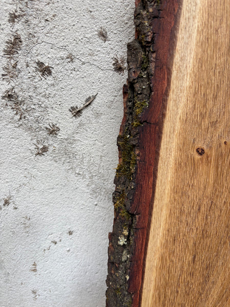 BATHONIAN WOODEN BOARD | NO.21 | OAK