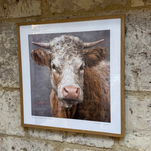'HORNED SIMMENTAL' | FRAMED | JOANNE COPE LIMITED EDITION PRINT