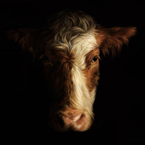 'YOUNG RED' | FRAMED | JOANNE COPE LIMITED EDITION PRINT