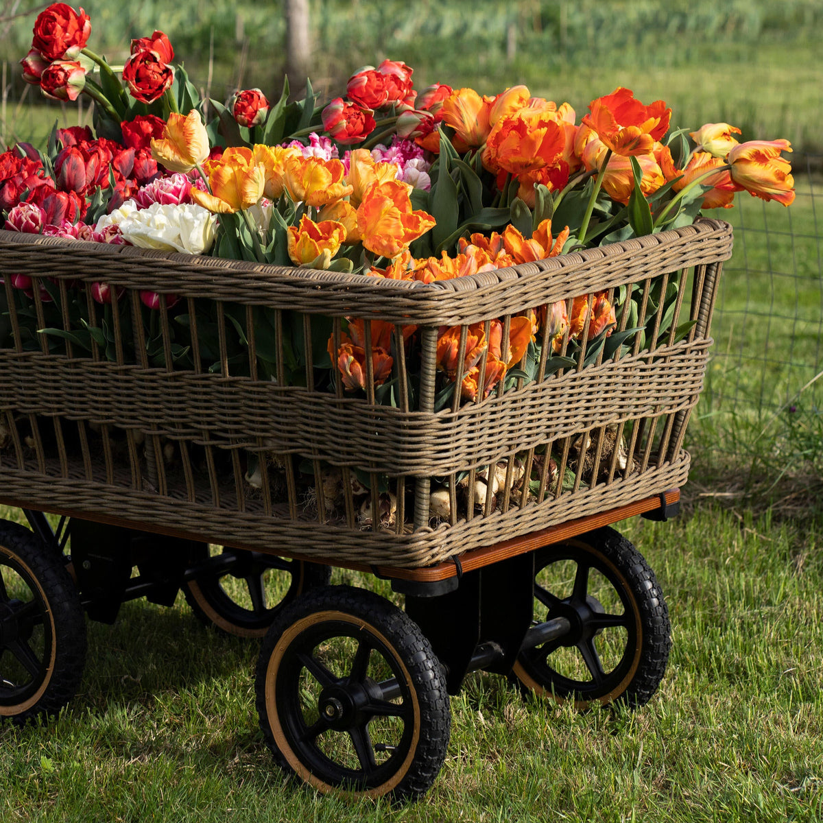 Heritage - Rattan Wagon Cart