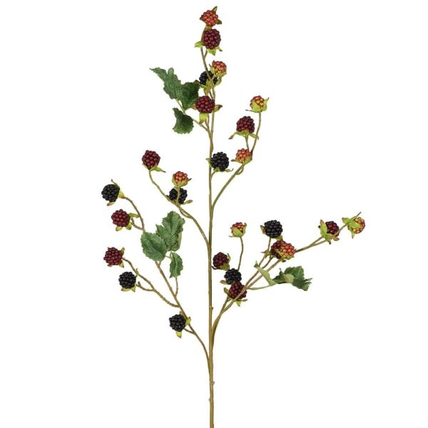 Autumn Sprig - Blackberries