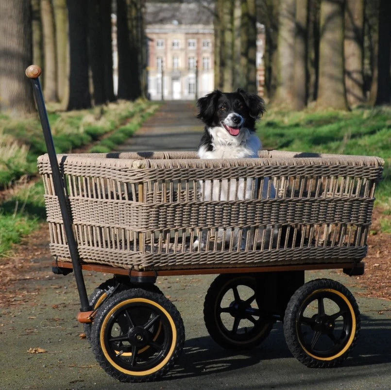 Heritage - Rattan Wagon Cart