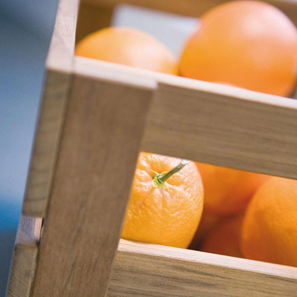 Dania Beer Crate by Fritz Hansen Skagerak